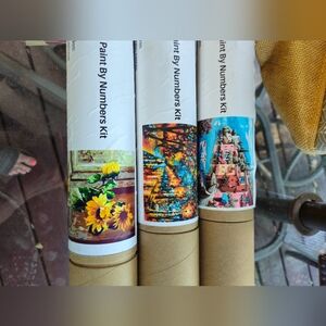 Paint By Numbers Kit Sets (3)